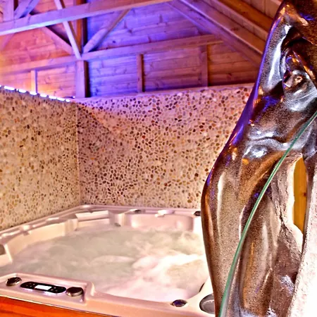 Hotel Logis Restaurant L'auberge Du President 3*