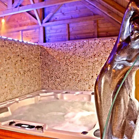 Hotel Logis Restaurant L'auberge Du President 3*